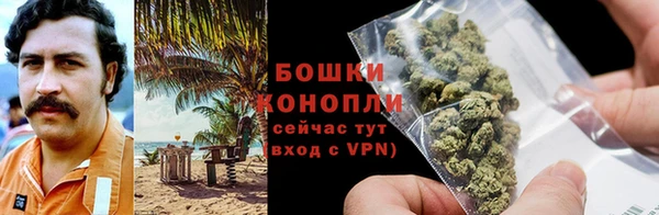 твердый Нефтегорск